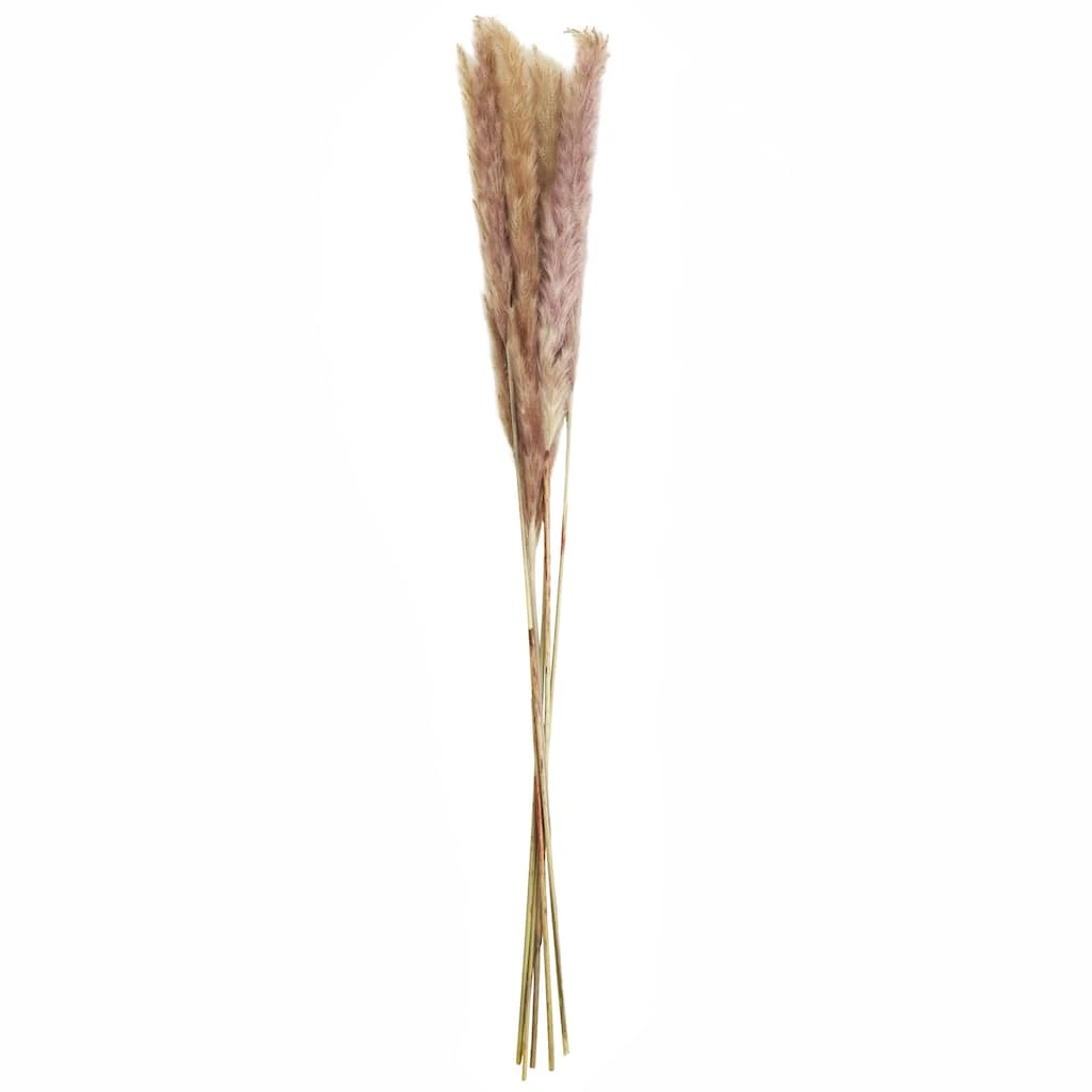 Discount 🔥 6 Pack: Mini Natural Brown Pampas Bunch by Ashland® ❤️ 3 Discount 🔥 6 Pack: Mini Natural Brown Pampas Bunch by Ashland® ❤️