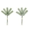 Coupon 🧨 Assorted Mini Pine Bundle by Ashland® 🎉 -Ashlandty Shop 10698904 1