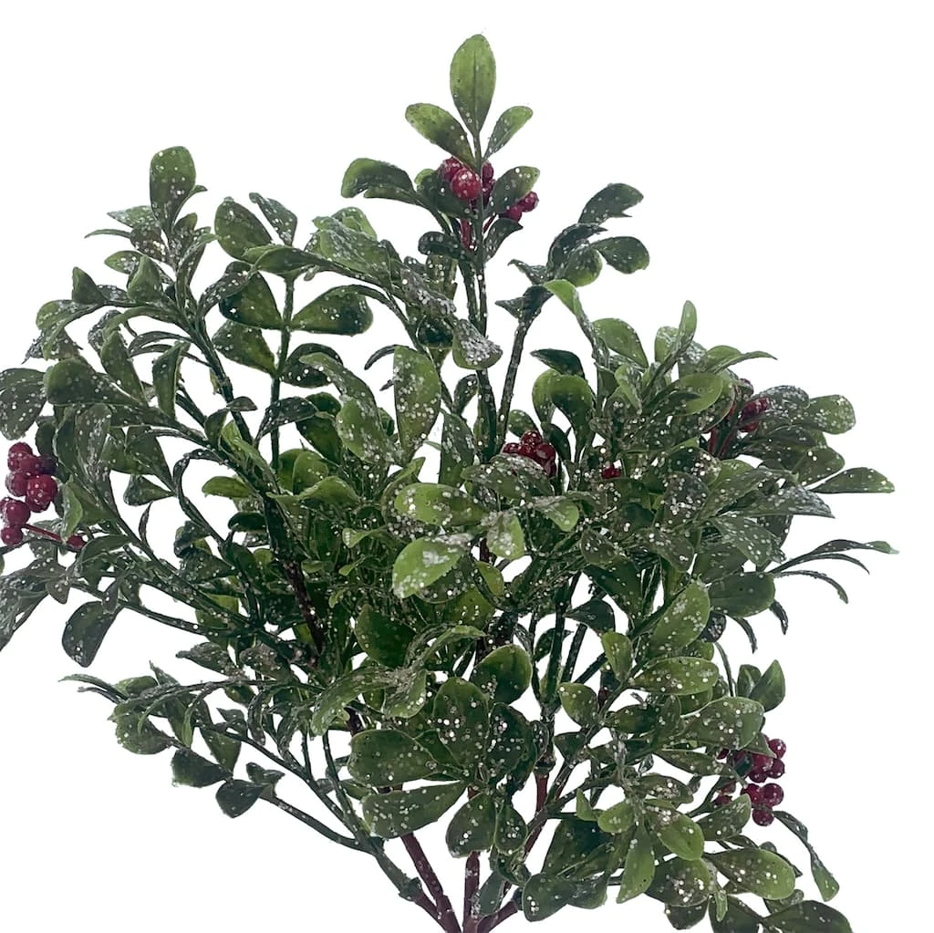 Best Pirce 💯 Glitz Boxwood & Berry Pick by Ashland® ✨ 4 Best Pirce 💯 Glitz Boxwood & Berry Pick by Ashland® ✨ - Image 2