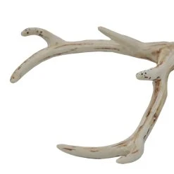 Best Sale ❤️ Assorted Deer Antler Pick by Ashland® 🌟 16 Best Sale ❤️ Assorted Deer Antler Pick by Ashland® 🌟 -Ashlandty Shop 10699100 7
