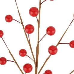 Hot Sale ✔️ Shiny Red Berry Pick by Ashland® 👏 -Ashlandty Shop 10699135 2