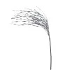 Budget ✔️ Silver Grass Pick by Ashland® ✨ -Ashlandty Shop 10699306 1
