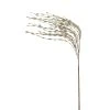 Buy ⌛ Champagne Grass Pick by Ashland® ✔️ -Ashlandty Shop 10699310 1