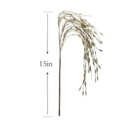 Buy ⌛ Champagne Grass Pick by Ashland® ✔️ -Ashlandty Shop 10699310 3