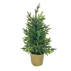 Best reviews of 🤩 18" Christmas Tree Tabletop Accent in Rattan Pot by Ashland® 😉