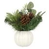 Cheap π 11" Pine Needle & Pinecone Arrangement in Ceramic Pot by Ashland® βοΈ 1 Cheap π 11" Pine Needle & Pinecone Arrangement in Ceramic Pot by Ashland® βοΈ -Ashlandty Shop 10699347 1