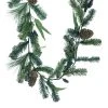 Promo 🌟 6ft. Snow Pine with Blueberries Garland by Ashland® ⭐ 1 Promo 🌟 6ft. Snow Pine with Blueberries Garland by Ashland® ⭐ -Ashlandty Shop 10699402 1