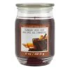 Brand new 😀 Cranberry Spiced Cider Scented Jar Candle by Ashland® ❤️ -Ashlandty Shop 10699752 1