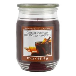 Brand new 😀 Cranberry Spiced Cider Scented Jar Candle by Ashland® ❤️