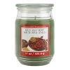 Discount ❤️ Holly Jolly Berry Scented Jar Candle by Ashland® 🛒 -Ashlandty Shop 10699755 1