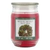 Brand new ❤️ Mistletoe & Holly Scented Candle Jar by Ashland® 😍 -Ashlandty Shop 10699761 1