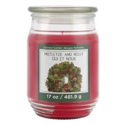 Brand new ❤️ Mistletoe & Holly Scented Candle Jar by Ashland® 😍