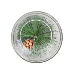 Best Pirce 🤩 6" Pine Leaf Glass Tealight Holder by Ashland® 👏 -Ashlandty Shop 10699910 4