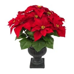Hot Sale 🤩 24" Deluxe Potted Red Poinsettia by Ashland® ✔️