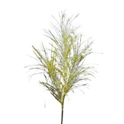 Flash Sale 🌟 Assorted Pampas Grass & Pip Pick by Ashland® ❄ Christmas ⌛ -Ashlandty Shop 10700101 4