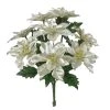 Cheap π€© Champagne Poinsettia Bush by Ashland® βοΈ 2 Cheap π€© Champagne Poinsettia Bush by Ashland® βοΈ -Ashlandty Shop 10700132 1