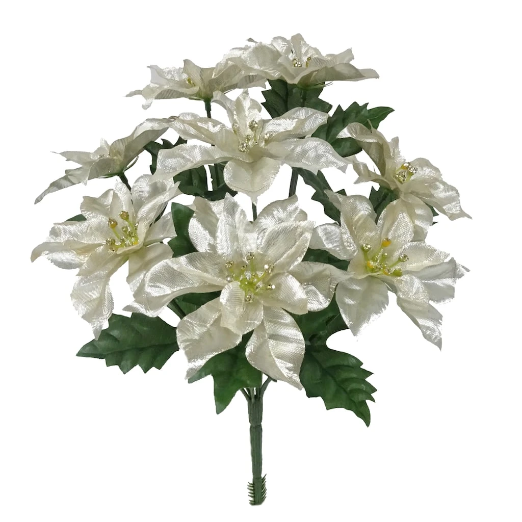 Cheap ๐คฉ Champagne Poinsettia Bush by Ashland® โ๏ธ 3 Cheap ๐คฉ Champagne Poinsettia Bush by Ashland® โ๏ธ