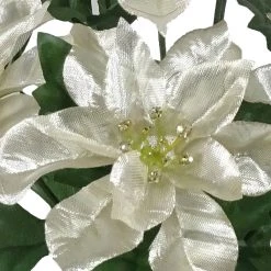 Cheap ๐คฉ Champagne Poinsettia Bush by Ashland® โ๏ธ 5 Cheap ๐คฉ Champagne Poinsettia Bush by Ashland® โ๏ธ -Ashlandty Shop 10700132 2