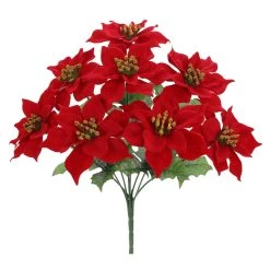 Cheap ✔️ Red Poinsettia Bush by Ashland® ✨