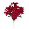 Cheap βοΈ Crimson Poinsettia Bush by Ashland® π₯ 1 Cheap βοΈ Crimson Poinsettia Bush by Ashland® π₯ -Ashlandty Shop 10700141 1