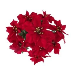 Cheap ✔️ Crimson Poinsettia Bush by Ashland® 🔥 5 Cheap ✔️ Crimson Poinsettia Bush by Ashland® 🔥 -Ashlandty Shop 10700141 2