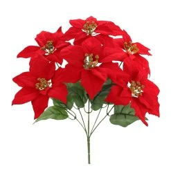 Best deal 👏 Red Poinsettia Bush by Ashland® ✔️