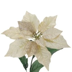 Promo 🧨 Champagne Poinsettia Bush by Ashland® 🥰 -Ashlandty Shop 10700149 3