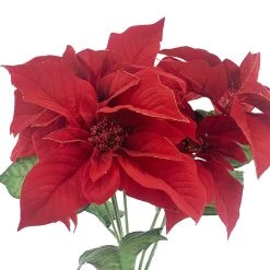 Outlet β Dark Red Poinsettia Bush by Ashland® π 5 Outlet β Dark Red Poinsettia Bush by Ashland® π -Ashlandty Shop 10700150 2
