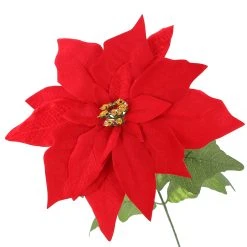 Cheapest 🧨 Red Poinsettia Bush by Ashland® 🌟 -Ashlandty Shop 10700151 3