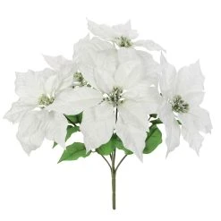 Best deal 🎉 Cream Poinsettia Bush by Ashland® 🧨