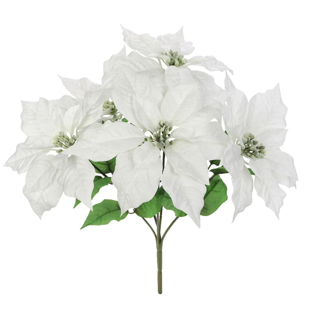 Best deal ๐ Cream Poinsettia Bush by Ashland® ๐งจ 3 Best deal ๐ Cream Poinsettia Bush by Ashland® ๐งจ