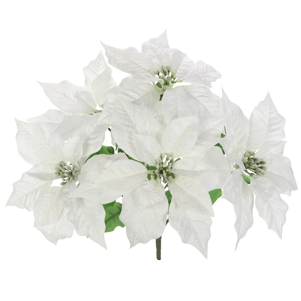 Best deal ๐ Cream Poinsettia Bush by Ashland® ๐งจ 5 Best deal ๐ Cream Poinsettia Bush by Ashland® ๐งจ - Image 3
