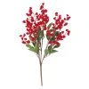 Discount 🔔 Red Berry Bush by Ashland® ✨ -Ashlandty Shop 10700380 1
