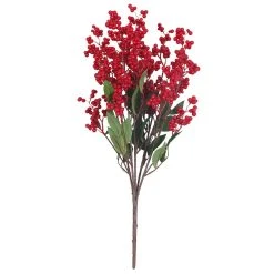 Discount 🔔 Red Berry Bush by Ashland® ✨ -Ashlandty Shop 10700380 3