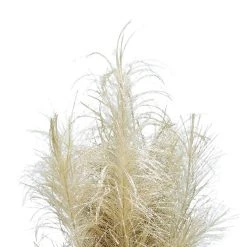 Best Sale 🤩 Assorted Glitter Pampas Bush by Ashland® 🤩 16 Best Sale 🤩 Assorted Glitter Pampas Bush by Ashland® 🤩 -Ashlandty Shop 10700399 5