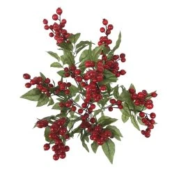 Budget ⭐ Red Cranberry Bush by Ashland® ❤️ -Ashlandty Shop 10700403 2