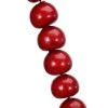 Brand new 🧨 6ft. Red Holly Berry Garland by Ashland® 💯 2 Brand new 🧨 6ft. Red Holly Berry Garland by Ashland® 💯 -Ashlandty Shop 10700694 1