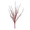Buy ⌛ Red Twig Branch by Ashland® 🔥 -Ashlandty Shop 10700710 1