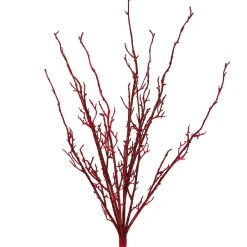 Buy ⌛ Red Twig Branch by Ashland® 🔥 -Ashlandty Shop 10700710 2