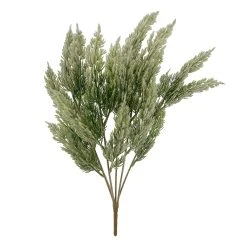 Cheap ⌛ Juniper Bush by Ashland® 🎁