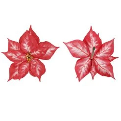 Hot Sale π Assorted Poinsettia Clip by Ashland® π 8 Hot Sale π Assorted Poinsettia Clip by Ashland® π -Ashlandty Shop 10700746 2