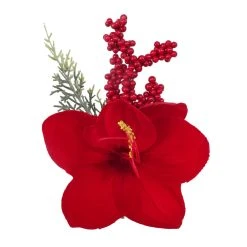 Best Pirce ✔️ Red Amaryllis & Berry Bundle by Ashland® ✔️ 5 Best Pirce ✔️ Red Amaryllis & Berry Bundle by Ashland® ✔️ -Ashlandty Shop 10700749 2