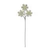 Buy ❤️ Snowflake Stem by Ashland® ✨ 2 Buy ❤️ Snowflake Stem by Ashland® ✨ -Ashlandty Shop 10700954 1