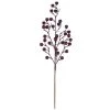 Buy 🤩 Glittery Purple Berry Stem by Ashland® 🛒 -Ashlandty Shop 10700983 1