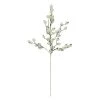 Top 10 ✔️ White Berry Twig Stem by Ashland® 👍 -Ashlandty Shop 10700988 1