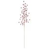 Buy ⌛ Dark Red Berry Stem by Ashland® 💯 Christmas 🌟 -Ashlandty Shop 10700993 1