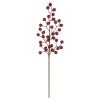 Budget ❤️ Iced Red Rose Berry Stem by Ashland® 🧨 -Ashlandty Shop 10700997 1