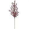 Cheapest ✨ Dark Red Berry Stem by Ashland® 🌟 2 Cheapest ✨ Dark Red Berry Stem by Ashland® 🌟 -Ashlandty Shop 10701003 1