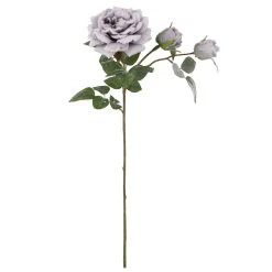 Promo 🥰 Gray Snowy Rose Stem by Ashland® ✨
