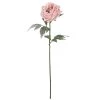 New 💯 Light Pink Snowy Peony Stem by Ashland® 👏 -Ashlandty Shop 10701015 1